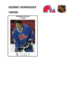 NHL que 1985-86 foto hracu10