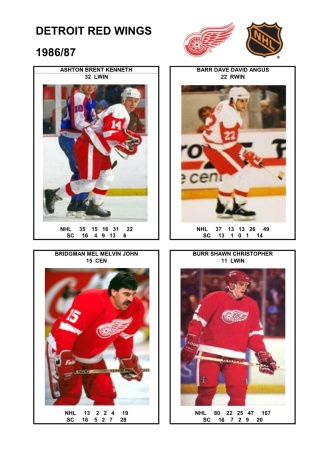 NHL det 1986-87 foto hracu1