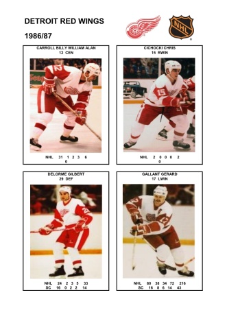 NHL det 1986-87 foto hracu2