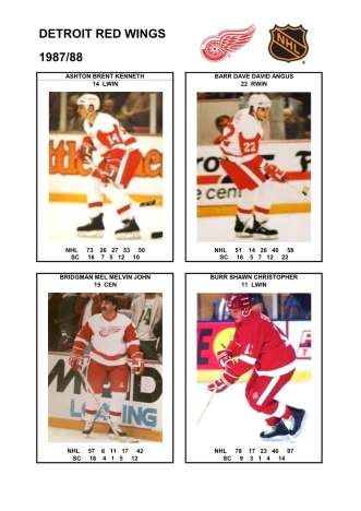 NHL det 1987-88 foto hracu1