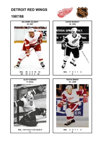 NHL det 1987-88 foto hracu2