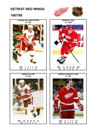 NHL det 1987-88 foto hracu8