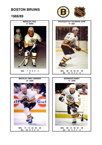 NHL bos 1988-89 foto hracu1