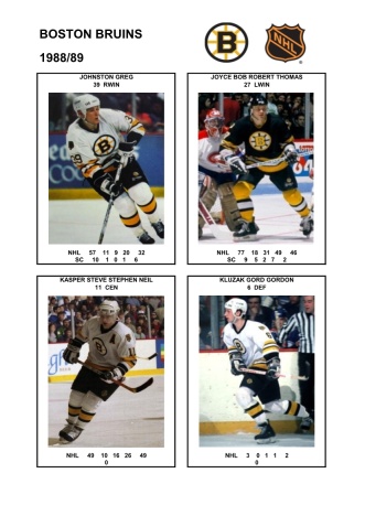 NHL bos 1988-89 foto hracu5