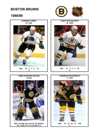 NHL bos 1988-89 foto hracu6