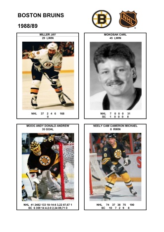 NHL bos 1988-89 foto hracu7