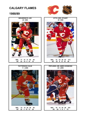 NHL cgy 1988-89 foto hracu6