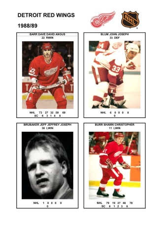 NHL det 1988-89 foto hracu1