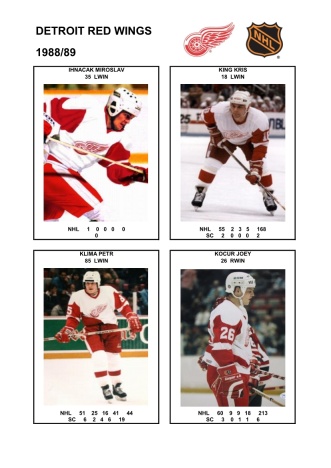 NHL det 1988-89 foto hracu5