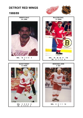 NHL det 1988-89 foto hracu6