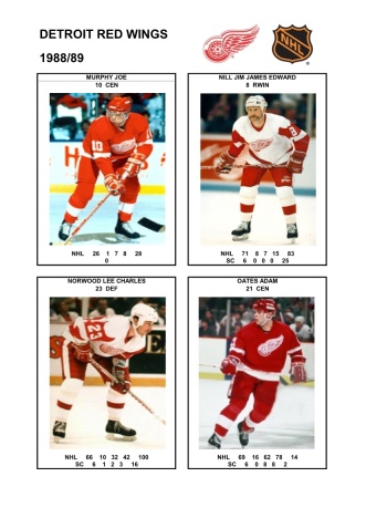 NHL det 1988-89 foto hracu7