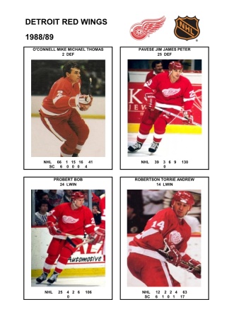 NHL det 1988-89 foto hracu8