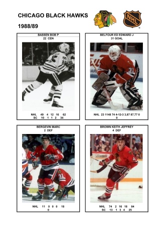 NHL chc 1988-89 foto hracu1