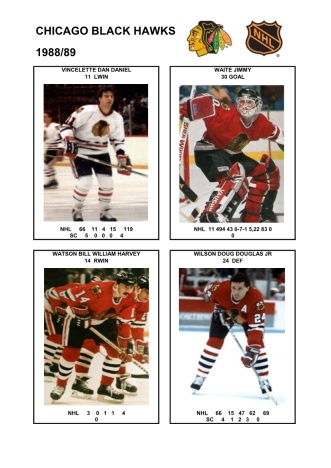 NHL chc 1988-89 foto hracu10