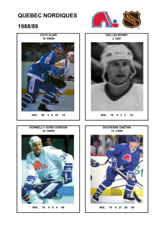 NHL que 1988-89 foto hracu2