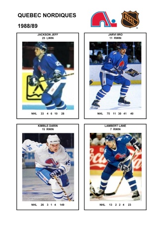 NHL que 1988-89 foto hracu5