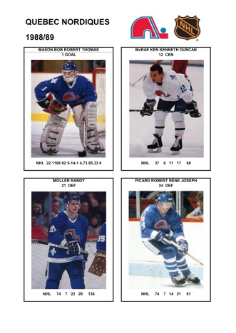 NHL que 1988-89 foto hracu7