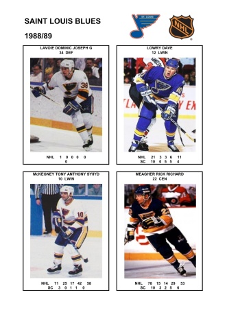 NHL stl 1988-89 foto hracu5