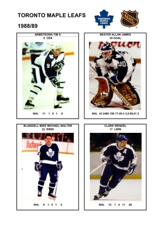 NHL tor 1988-89 foto hracu1