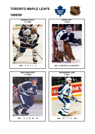 NHL tor 1988-89 foto hracu8