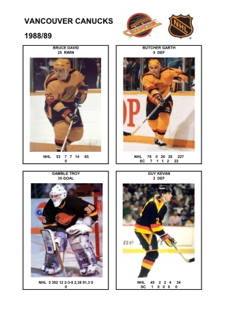 NHL van 1988-89 foto hracu3