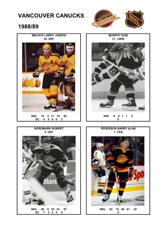 NHL van 1988-89 foto hracu6