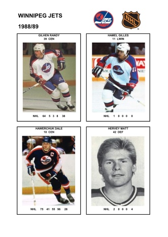 NHL wpg 1988-89 foto hracu5