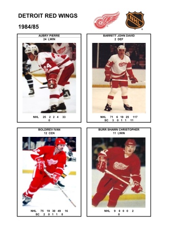 NHL det 1984-85 foto hracu1