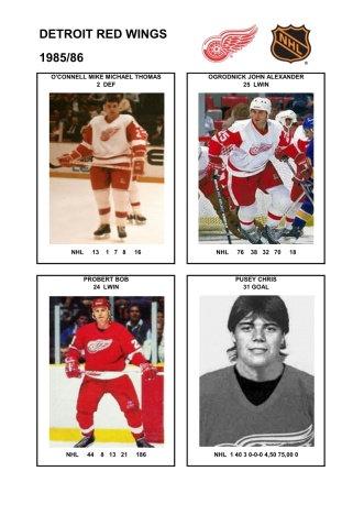 NHL det 1985-86 foto hracu8